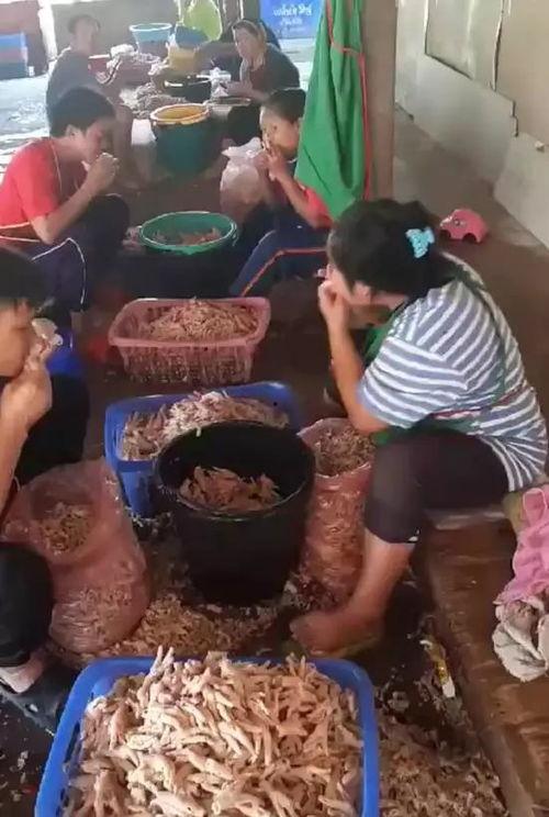 无骨鸡脚真实爆料视频,真实爆料视频大公开  第2张